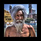 Sikh im Goldenen Tempel in Amritsar, Indien