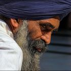 Sikh, männlich  (aus der Serie Gesichter Indiens)