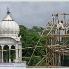 Sikh Tempel