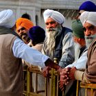 Sikhs im Goldenen Tempel
