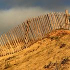 S'il ne reste qu'une dune...