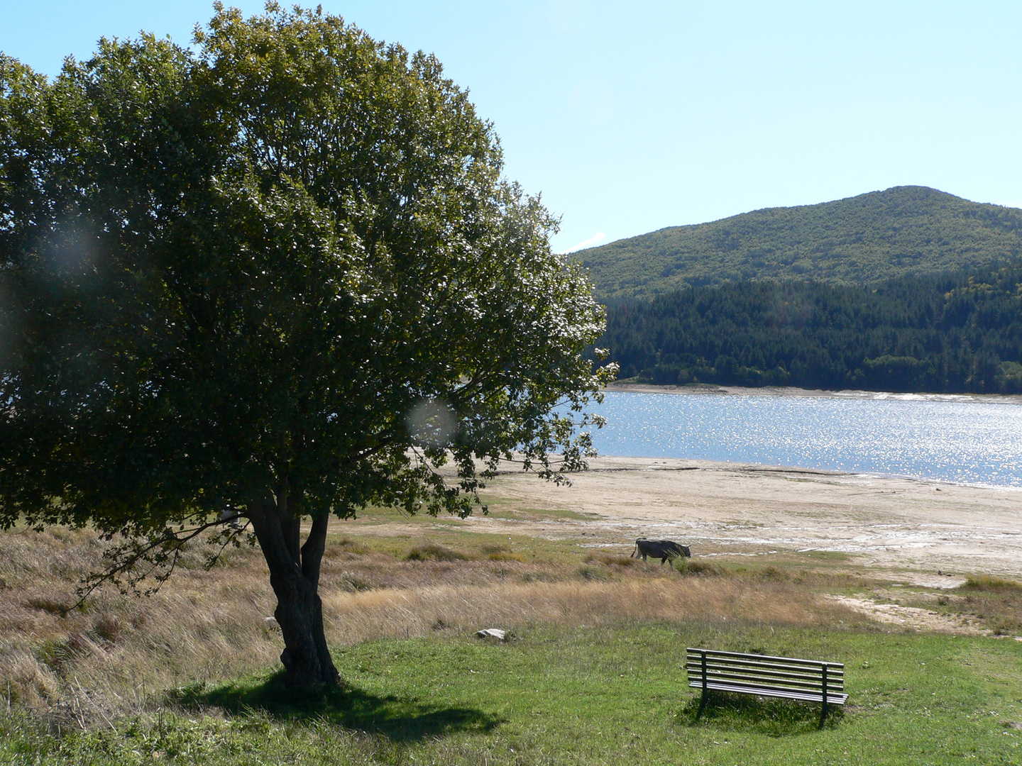 Sila Lago Ampollino