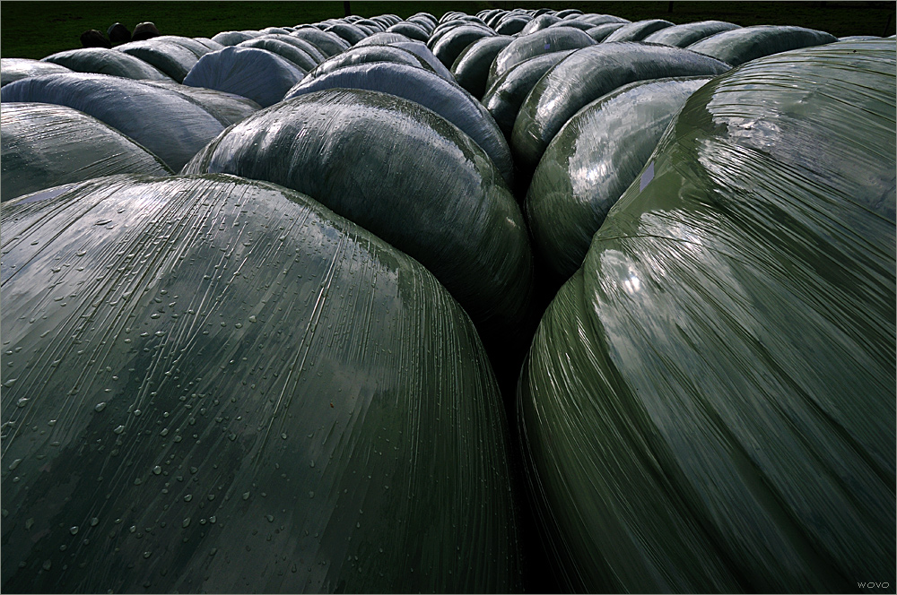 Silage