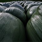 Silage