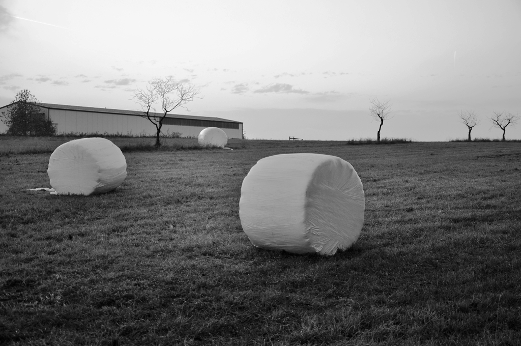 Silage