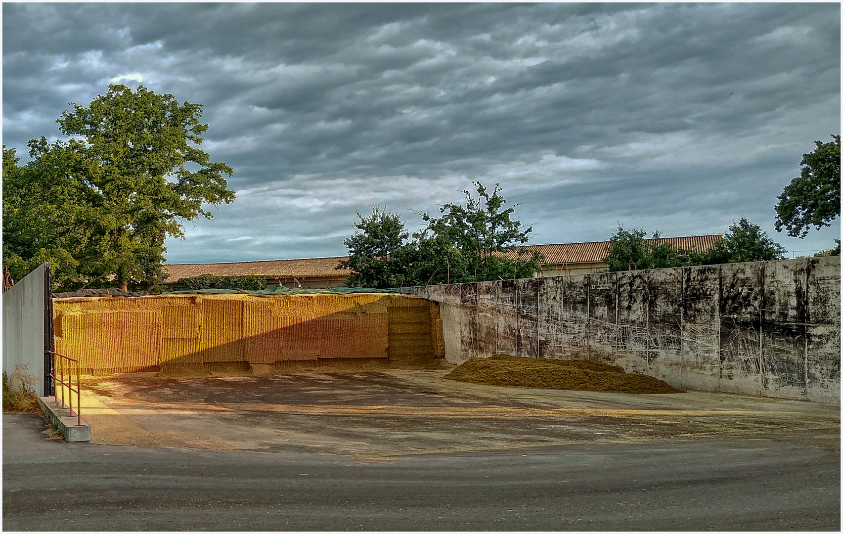 Silage im Morgenlicht