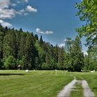 Silage im Tal der Rothach