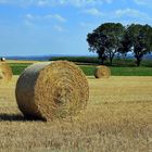 Silageballen auf dem Feld, in der Soester Börde 