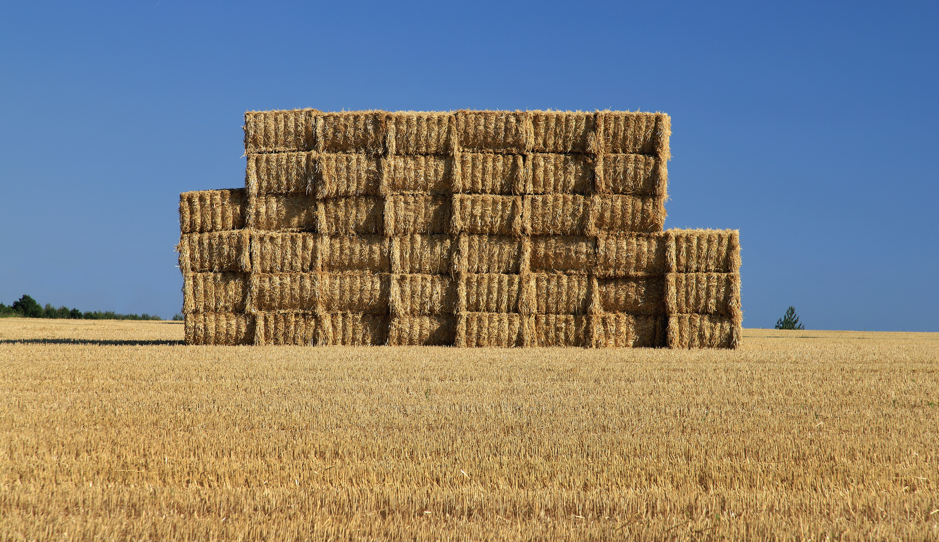 Silageballen auf dem Feld in der Soester Börde