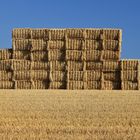 Silageballen auf dem Feld in der Soester Börde