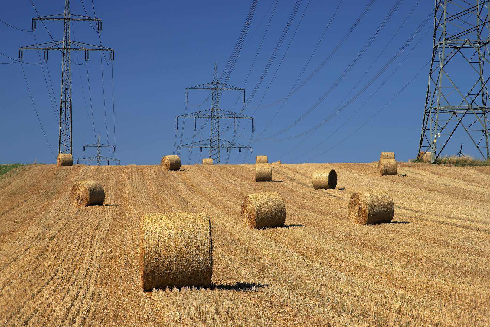 Silageballen auf dem Feld unter Hochspannungsmasten in der Soester Börde.  