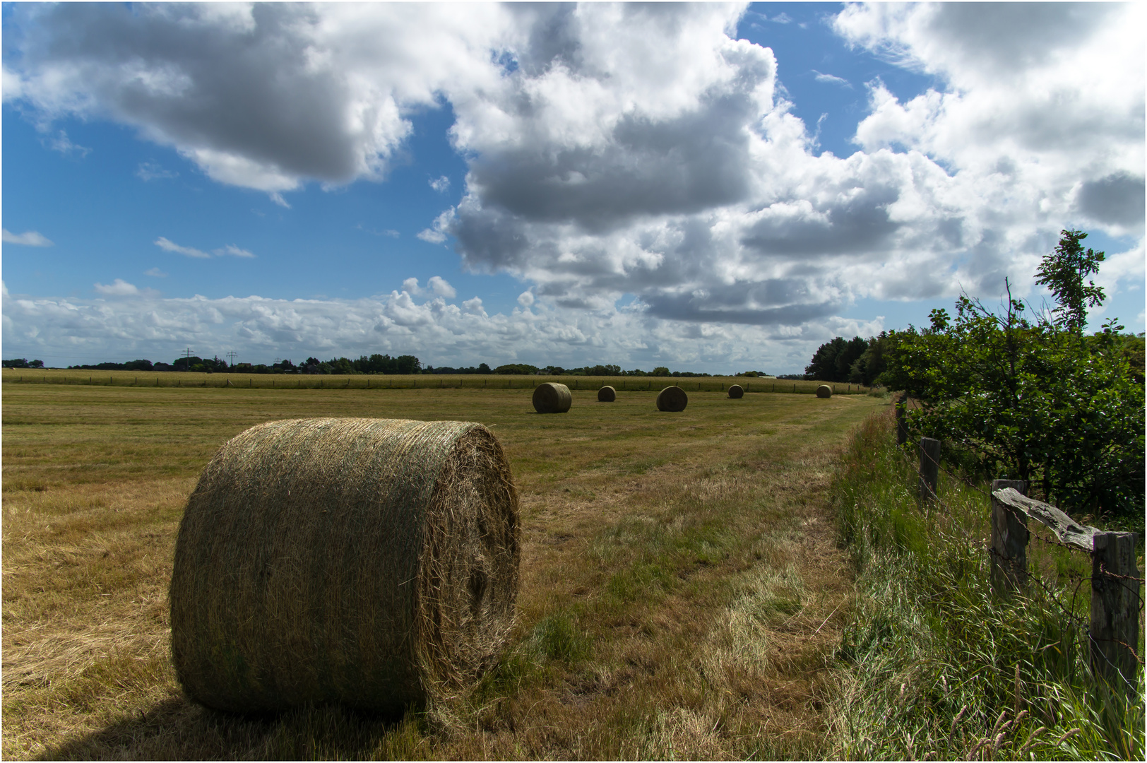 Silageballen im Gegenlicht