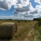 Silageballen im Gegenlicht