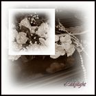 Silber - Hochzeitsblumenstrauß