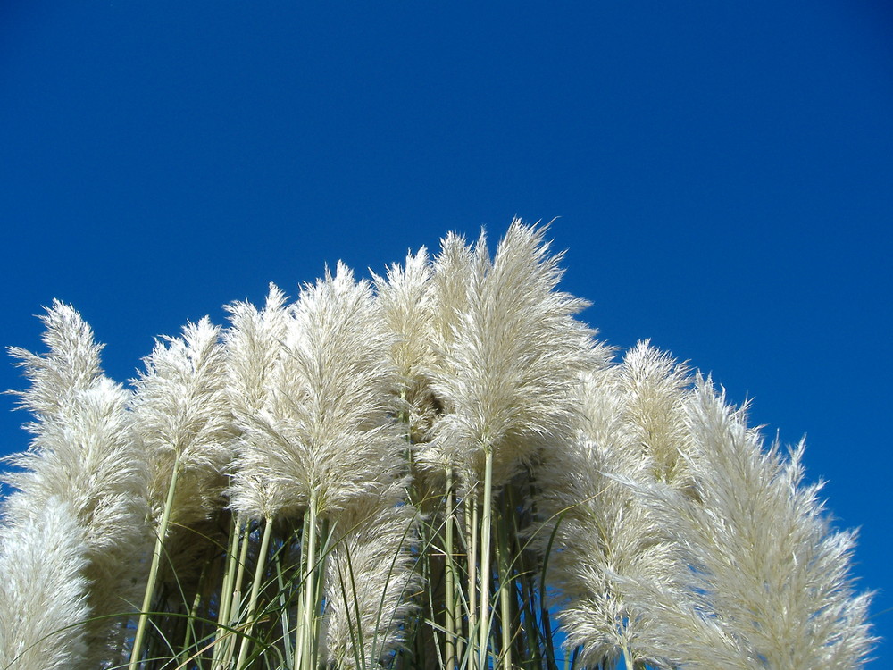 Silber und weites Blau