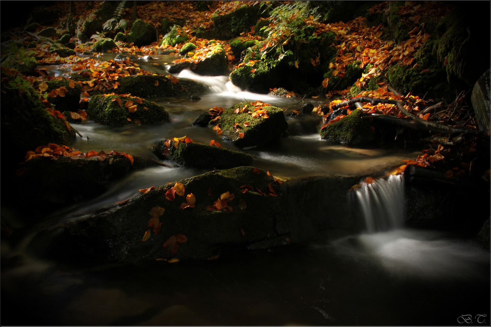 Silberbach im Herbst2