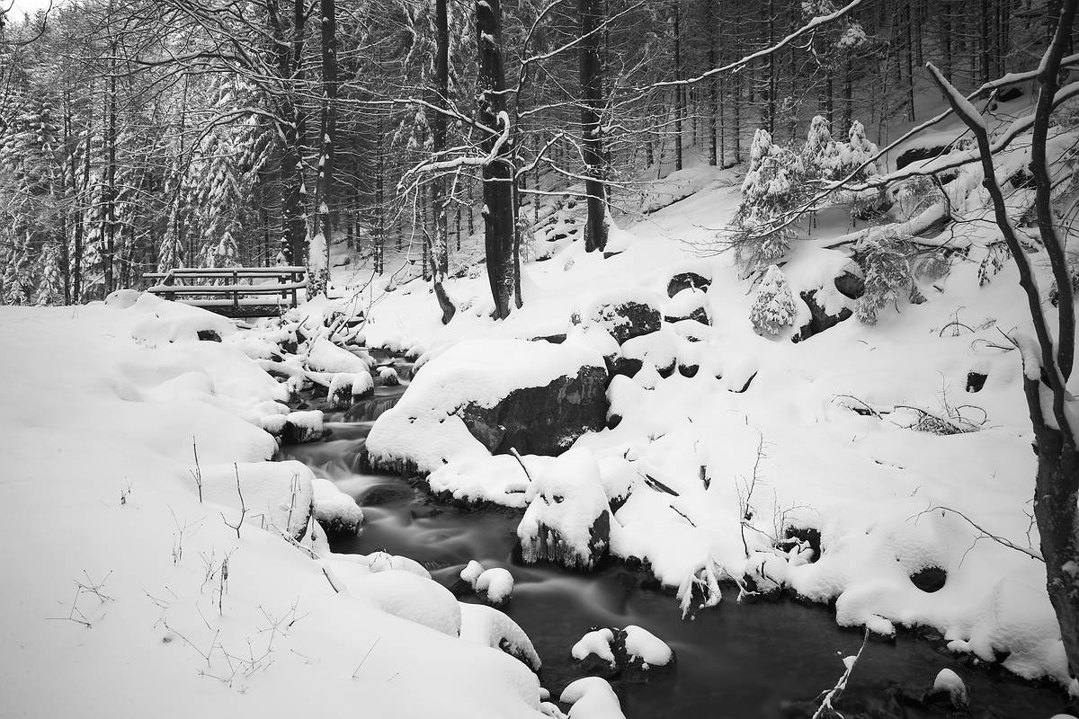 Silberbach im Schneekleid