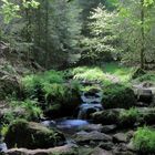 Silberbach im südl. Teutoburgerwald / Eggegebirge