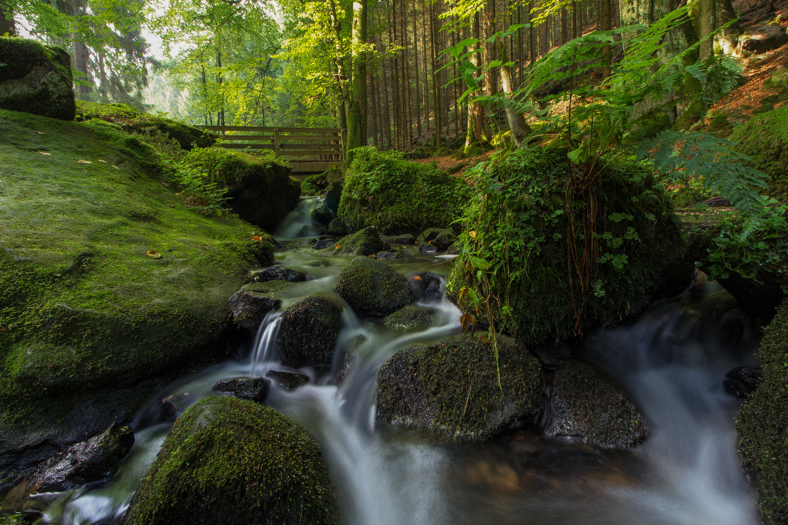 Silberbach im Teutoburger Wald