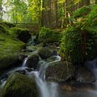 Silberbach im Teutoburger Wald