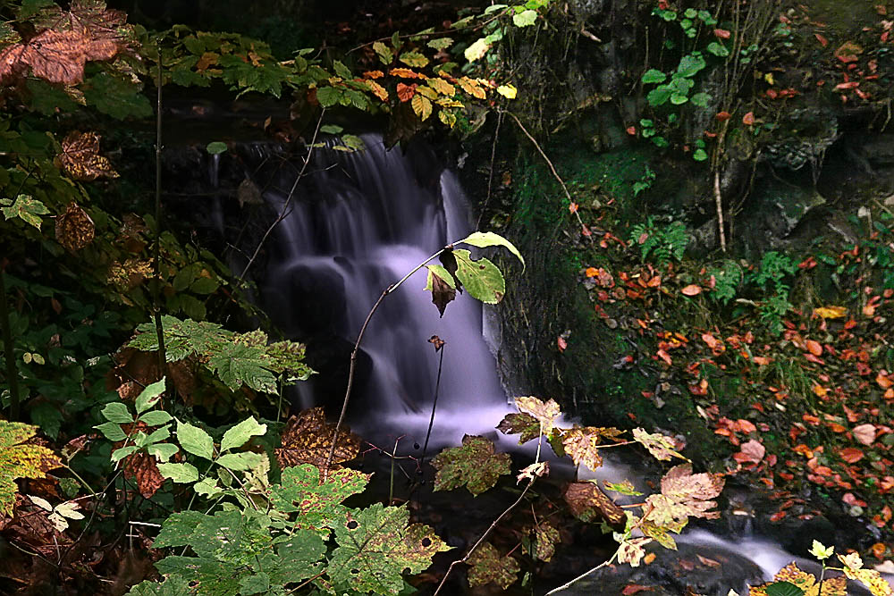 Silberbach Naturbelassen