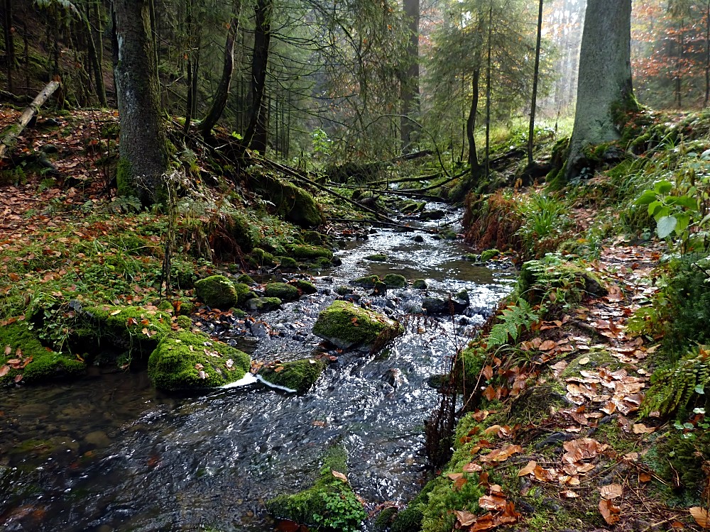 Silberbachtal