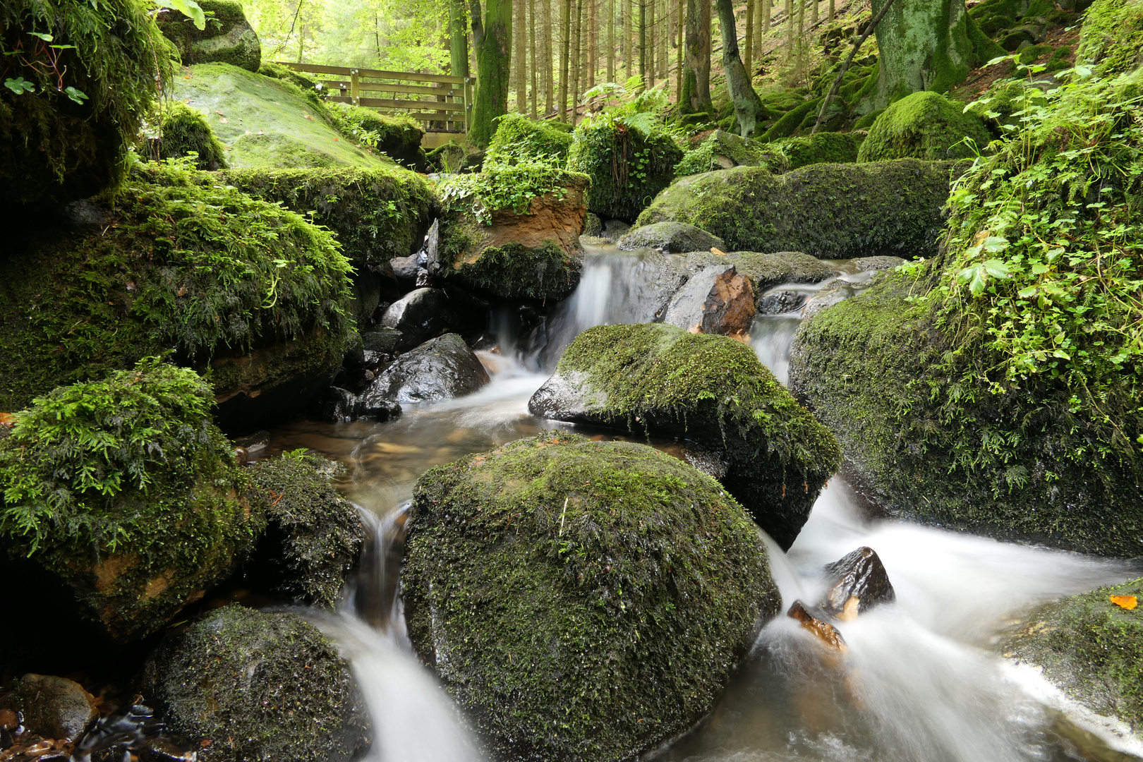 Silberbachtal 