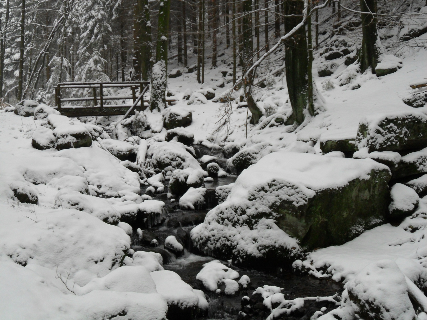 Silberbachtal