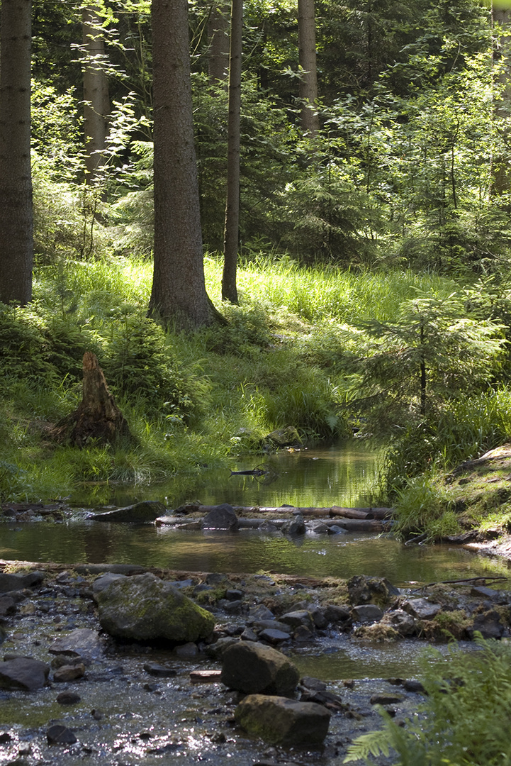 Silberbachtal