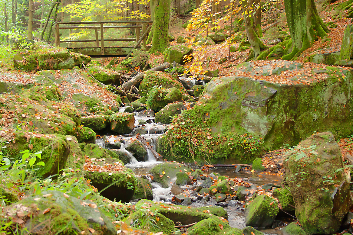 Silberbachtal