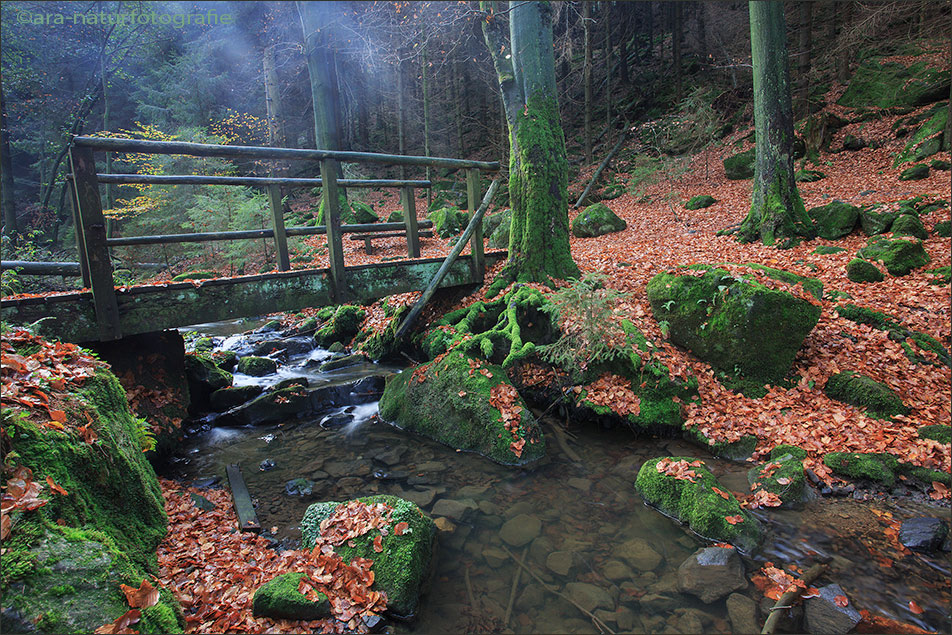 Silberbachtal