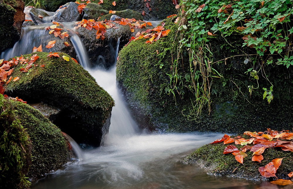 Silberbachtal