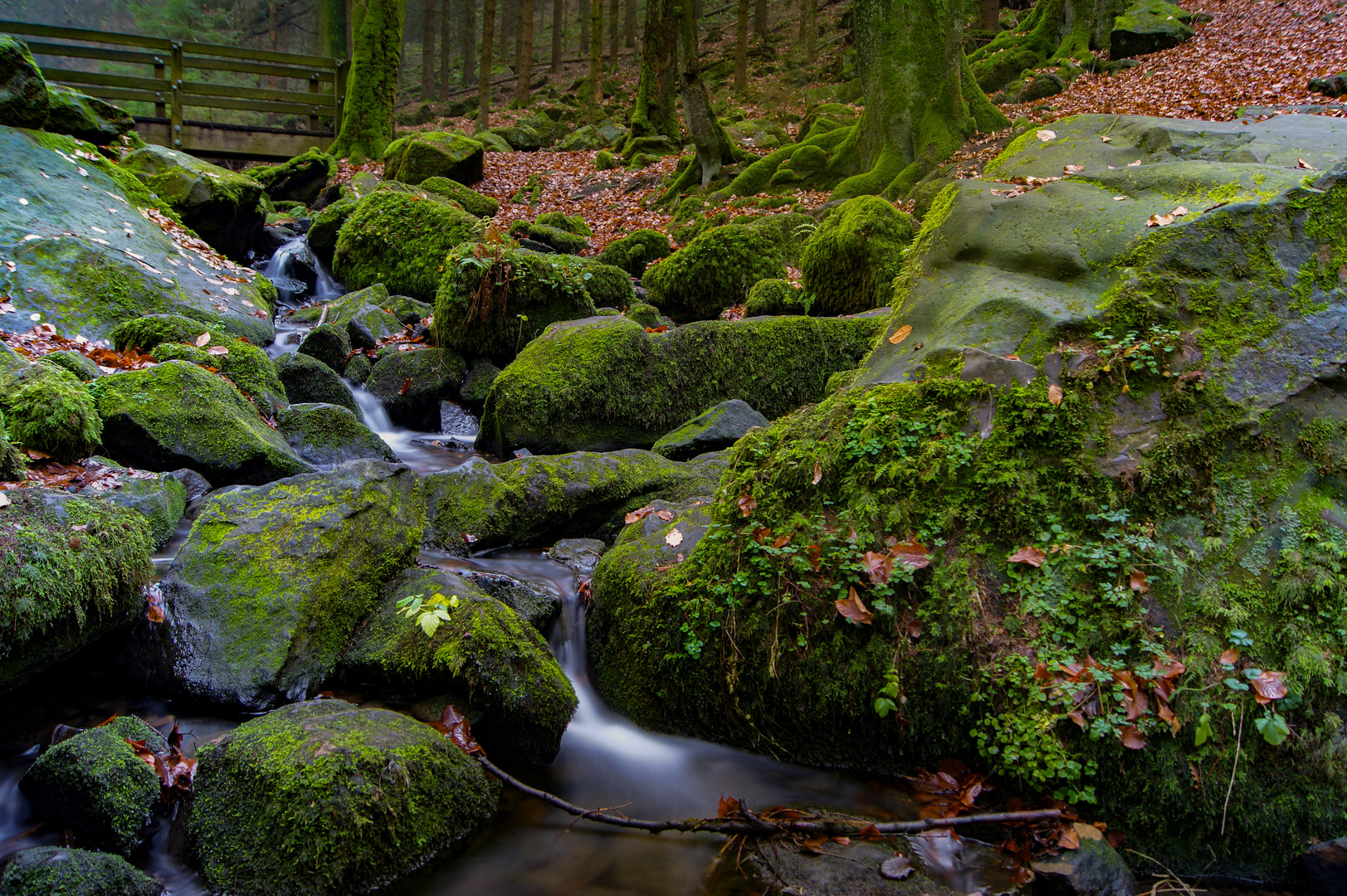 Silberbachtal