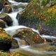 Silberbachtal im herbst