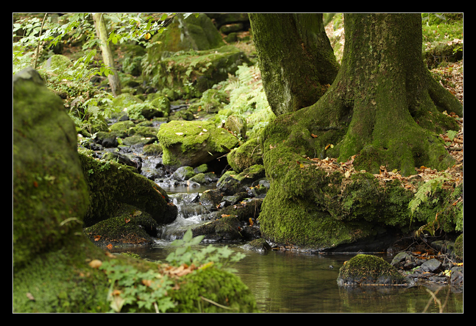 Silberbachtal in Farbe