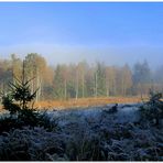 Silberborner Moor