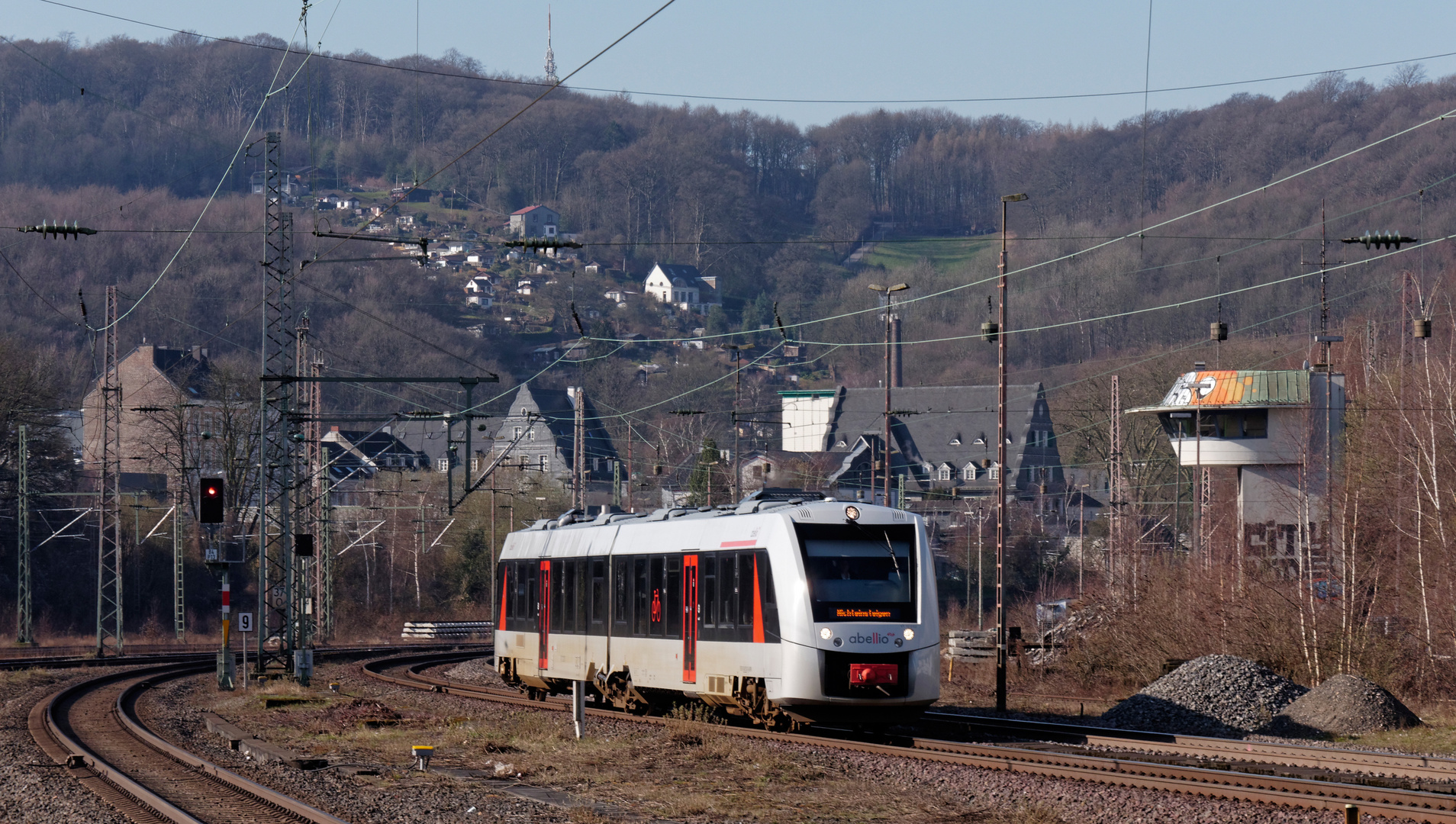 Silberfisch in Steinbeck