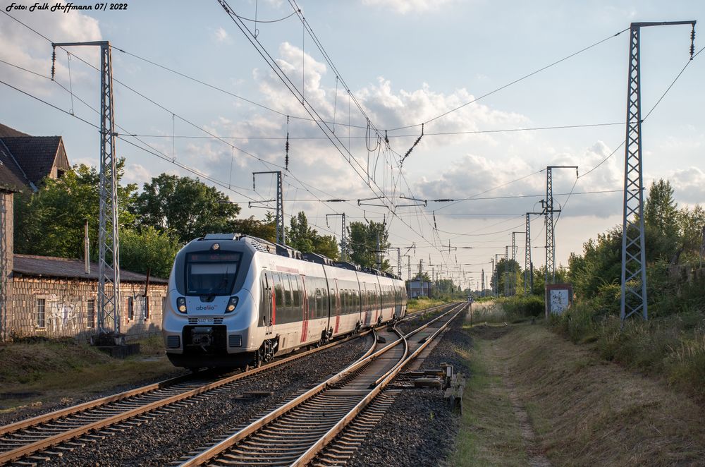 Silberglanz im Streiflicht