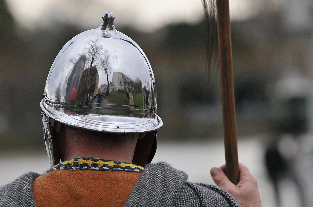 Silberhelm am Main