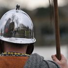 Silberhelm am Main