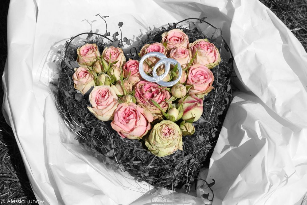 A Timeless Treasure: Capturing the Essence of Your Silver Anniversary with a Bild zur Silberhochzeit