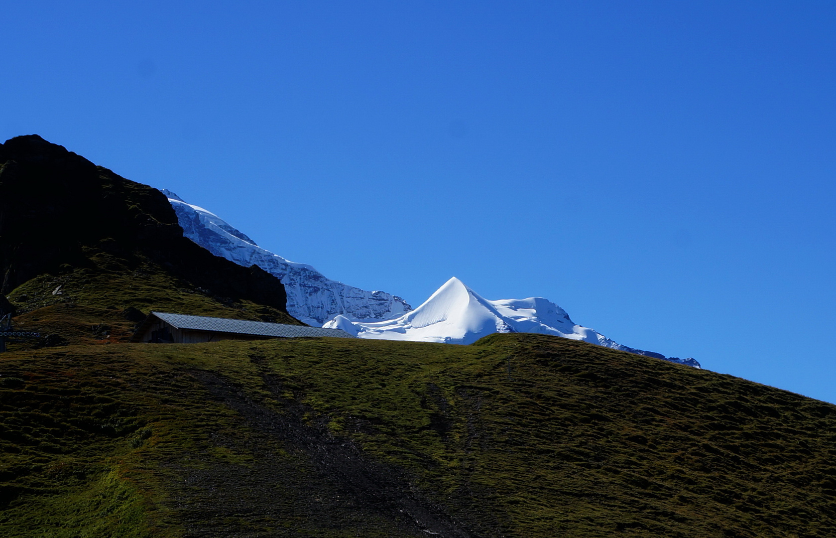 Silberhorn