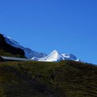 Silberhorn