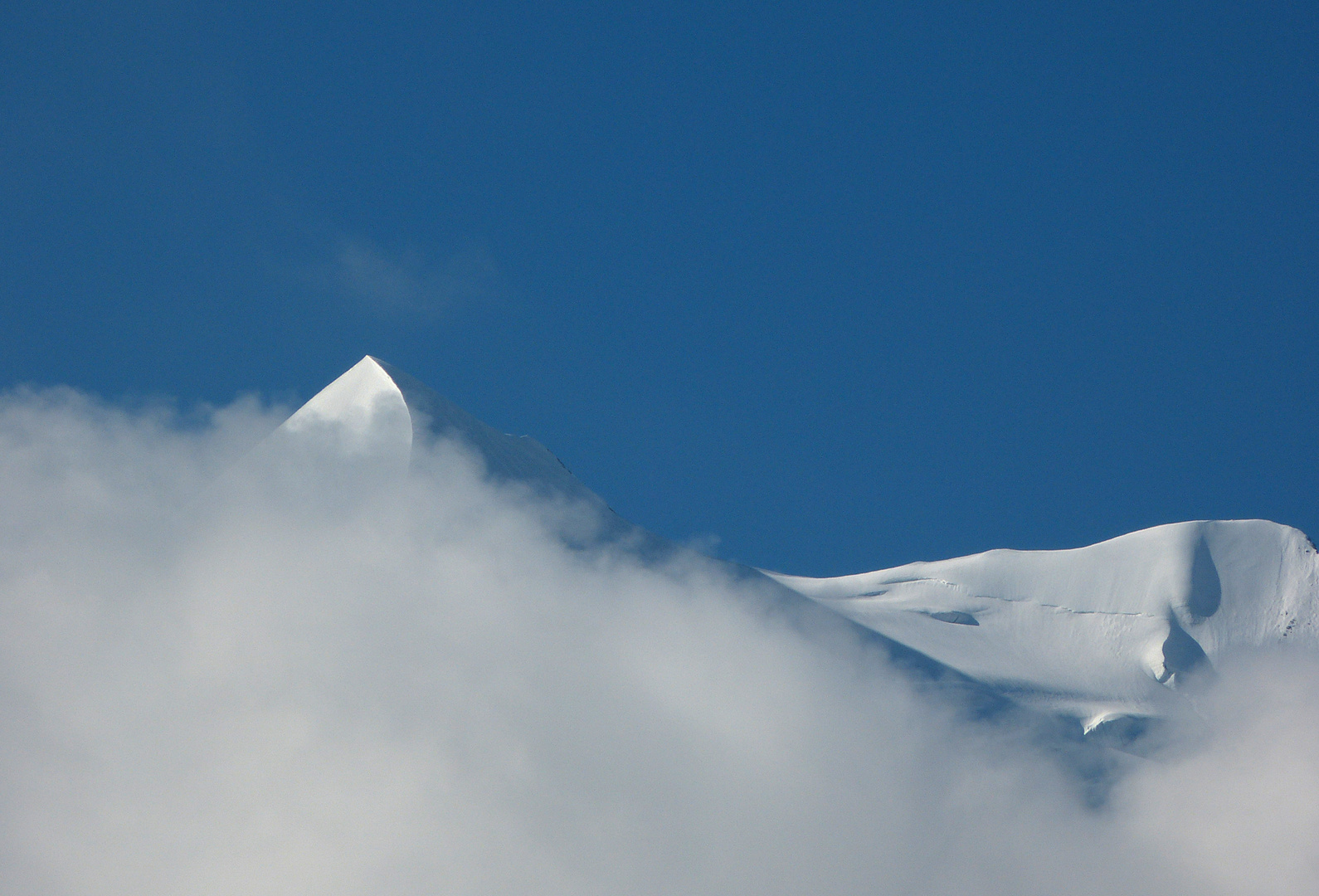 Silberhorn