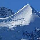 Silberhorn, Jungfrau Bernese Oberland ...