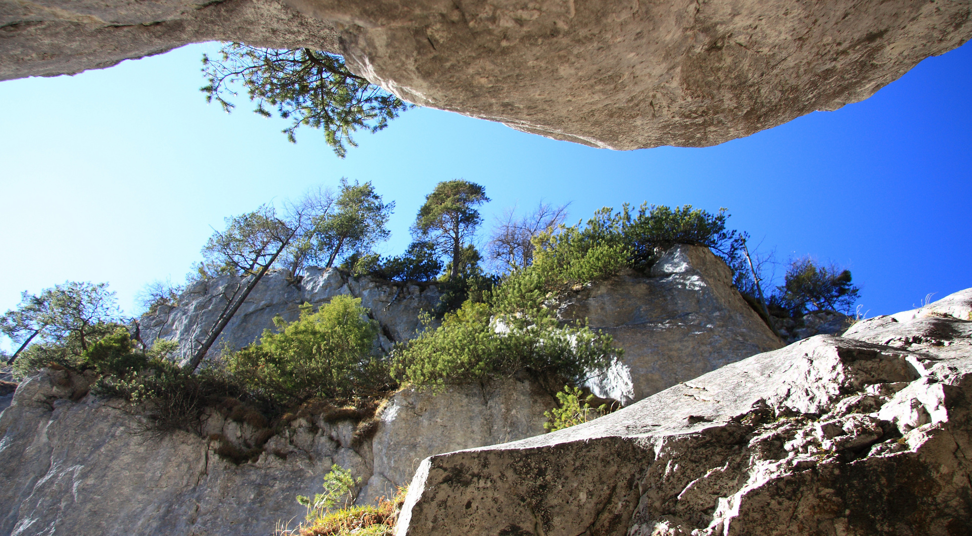 ~ Silberkarklamm ~