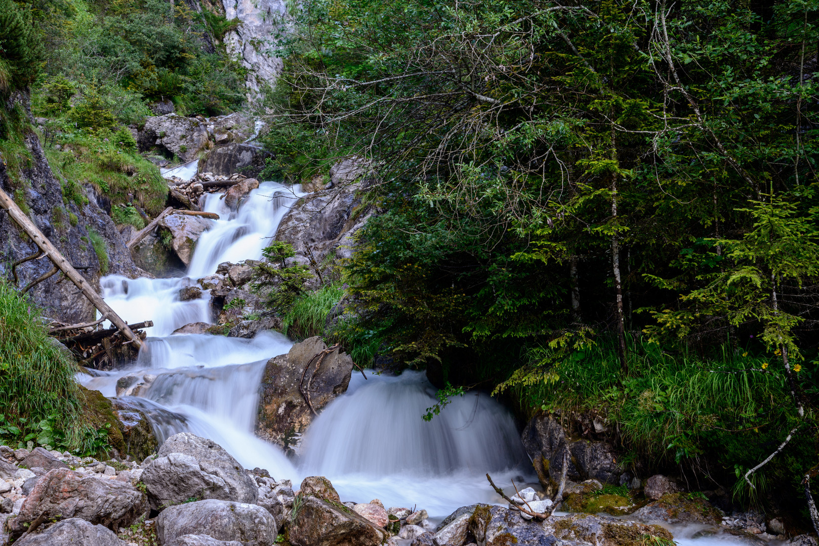 Silberkarklamm