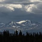 Silberlicht am Yukon