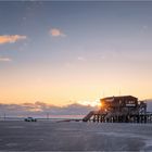 ...Silbermöwe trifft Strandbar...