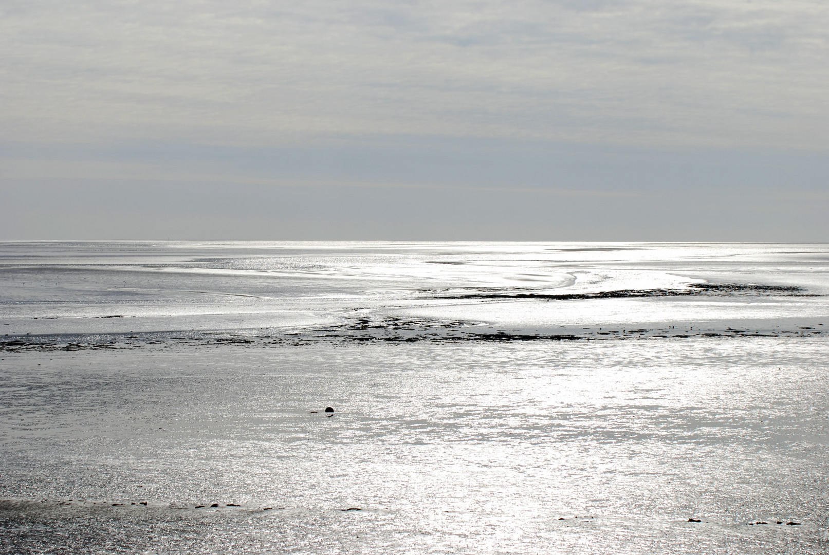 silbern-glänzendes Wattenmeer